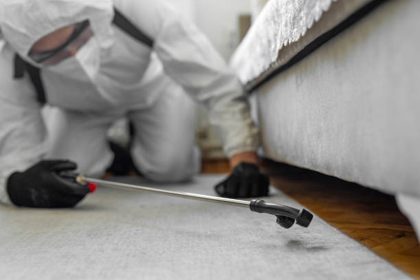 Professional Termite Control technician working in Pampa, TX