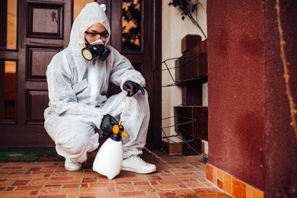 Reliable Termite Control contractor in Pampa, TX by Nex Pest Control
